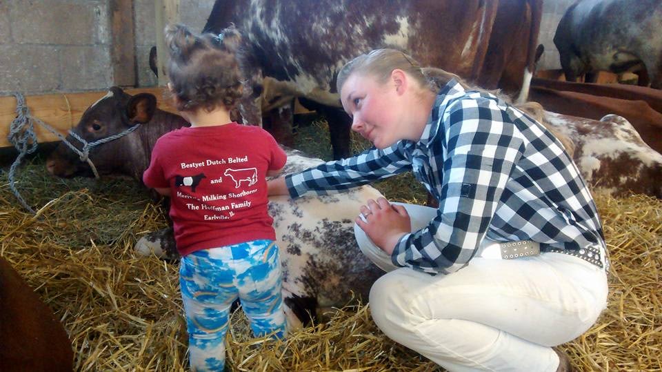 Showing Our Milk Cows